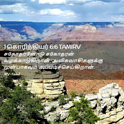 Picture 02 - 1 கொரிந்தியர் 6:6 TAMIRV - சகோதரனோடு சகோதரன் - Bible Verse Picture