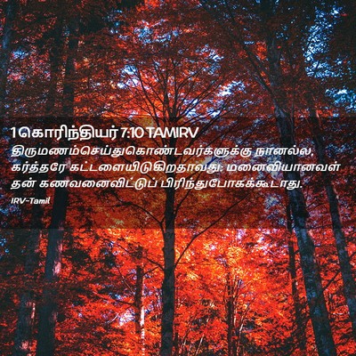 Picture 02 - 1 கொரிந்தியர் 7:10 TAMIRV -  - Bible Verse Picture