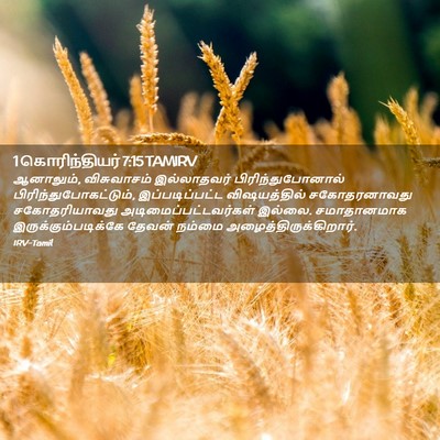 Picture 02 - 1 கொரிந்தியர் 7:15 TAMIRV - ஆனாலும், - Bible Verse Picture