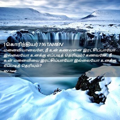 Picture 02 - 1 கொரிந்தியர் 7:16 TAMIRV - மனைவியானவளே, நீ - Bible Verse Picture