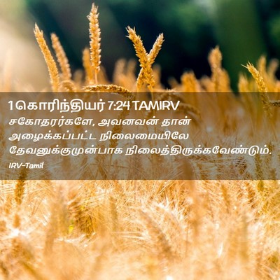 Picture 02 - 1 கொரிந்தியர் 7:24 TAMIRV - சகோதரர்களே, - Bible Verse Picture