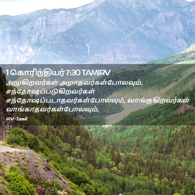 Picture 02 - 1 கொரிந்தியர் 7:30 TAMIRV - அழுகிறவர்கள் - Bible Verse Picture