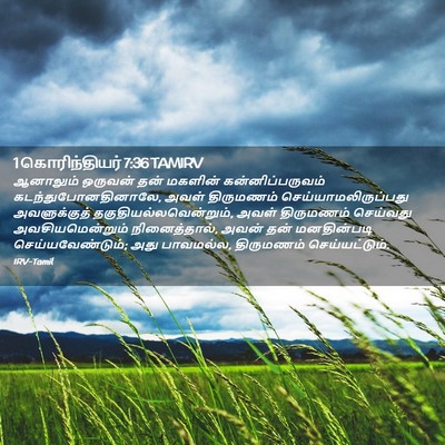 Picture 02 - 1 கொரிந்தியர் 7:36 TAMIRV - ஆனாலும் ஒருவன் - Bible Verse Picture