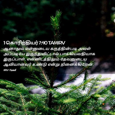 Picture 02 - 1 கொரிந்தியர் 7:40 TAMIRV - ஆனாலும் என்னுடைய - Bible Verse Picture