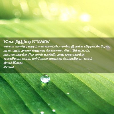 Picture 02 - 1 கொரிந்தியர் 7:7 TAMIRV - எல்லா மனிதர்களும் - Bible Verse Picture