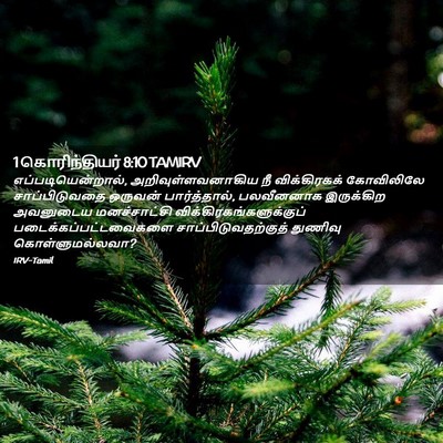 Picture 02 - 1 கொரிந்தியர் 8:10 TAMIRV - எப்படியென்றால், - Bible Verse Picture