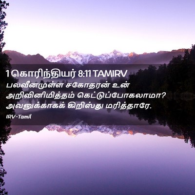 Picture 02 - 1 கொரிந்தியர் 8:11 TAMIRV - பலவீனமுள்ள - Bible Verse Picture