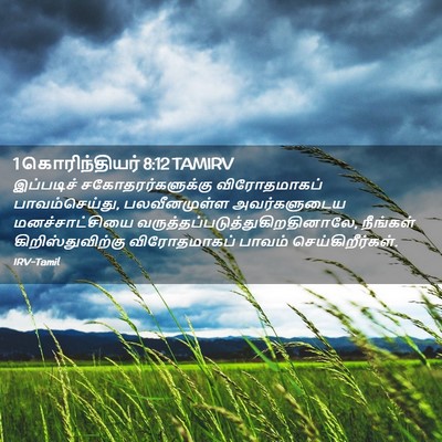 Picture 02 - 1 கொரிந்தியர் 8:12 TAMIRV - இப்படிச் - Bible Verse Picture