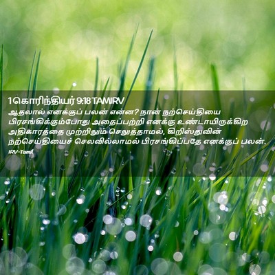 Picture 02 - 1 கொரிந்தியர் 9:18 TAMIRV - ஆதலால் எனக்குப் - Bible Verse Picture