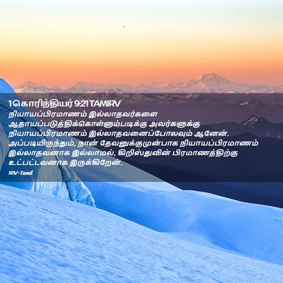 Picture 02 - 1 கொரிந்தியர் 9:21 TAMIRV - நியாயப்பிரமாணம் - Bible Verse Picture