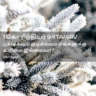 Picture 02 - 1 கொரிந்தியர் 9:4 TAMIRV - புசிக்கவும் - Bible Verse Picture