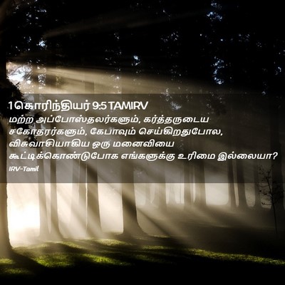 Picture 02 - 1 கொரிந்தியர் 9:5 TAMIRV - மற்ற - Bible Verse Picture