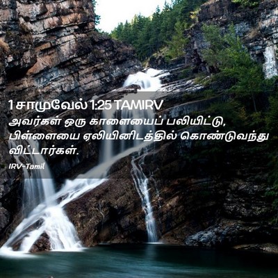 Picture 02 - 1 சாமுவேல் 1:25 TAMIRV - அவர்கள் ஒரு - Bible Verse Picture