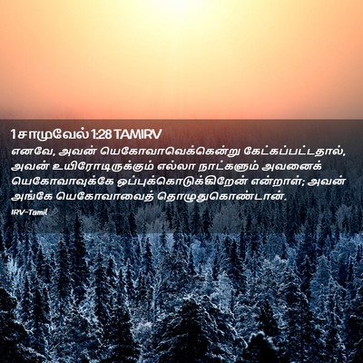 Picture 02 - 1 சாமுவேல் 1:28 TAMIRV - எனவே, அவன் - Bible Verse Picture