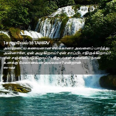 Picture 02 - 1 சாமுவேல் 1:8 TAMIRV - அவளுடைய கணவனான - Bible Verse Picture