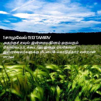 Picture 02 - 1 சாமுவேல் 11:13 TAMIRV - அதற்குச் சவுல்: - Bible Verse Picture