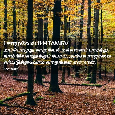 Picture 02 - 1 சாமுவேல் 11:14 TAMIRV - அப்பொழுது - Bible Verse Picture