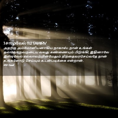 Picture 02 - 1 சாமுவேல் 11:2 TAMIRV - அதற்கு - Bible Verse Picture