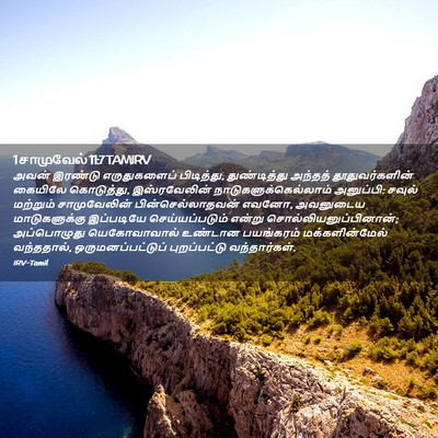 Picture 02 - 1 சாமுவேல் 11:7 TAMIRV - அவன் இரண்டு - Bible Verse Picture