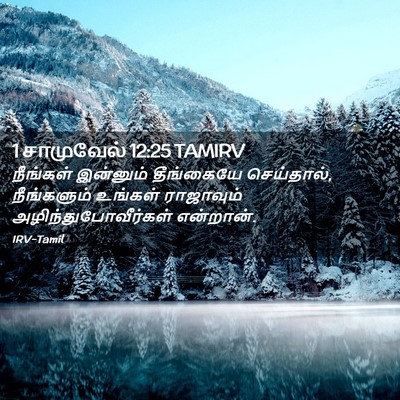 Picture 02 - 1 சாமுவேல் 12:25 TAMIRV - நீங்கள் இன்னும் - Bible Verse Picture