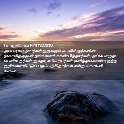 Picture 02 - 1 சாமுவேல் 14:11 TAMIRV - அப்படியே அவர்கள் - Bible Verse Picture