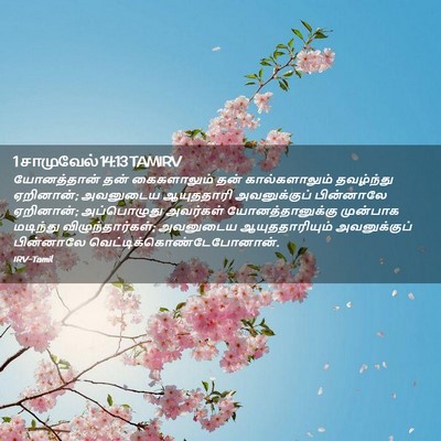 Picture 02 - 1 சாமுவேல் 14:13 TAMIRV - யோனத்தான் தன் - Bible Verse Picture