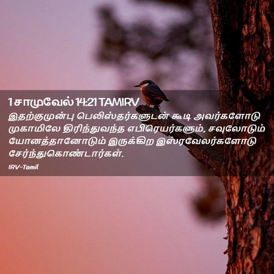 Picture 02 - 1 சாமுவேல் 14:21 TAMIRV - இதற்குமுன்பு - Bible Verse Picture