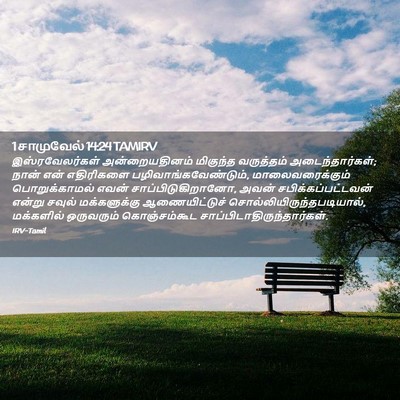 Picture 02 - 1 சாமுவேல் 14:24 TAMIRV - இஸ்ரவேலர்கள் - Bible Verse Picture