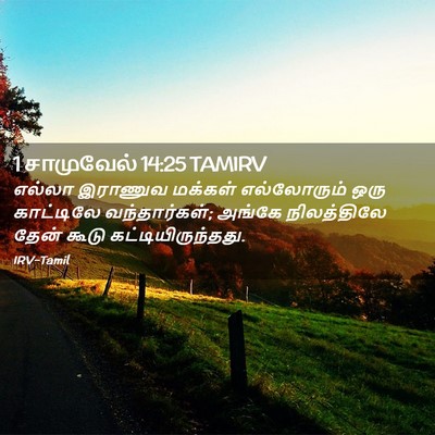 Picture 02 - 1 சாமுவேல் 14:25 TAMIRV - எல்லா இராணுவ - Bible Verse Picture