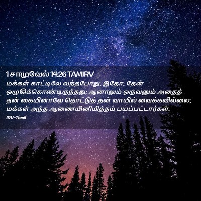 Picture 02 - 1 சாமுவேல் 14:26 TAMIRV - மக்கள் காட்டிலே - Bible Verse Picture