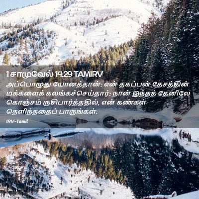 Picture 02 - 1 சாமுவேல் 14:29 TAMIRV - அப்பொழுது - Bible Verse Picture