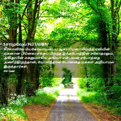 Picture 02 - 1 சாமுவேல் 14:3 TAMIRV - சீலோவிலே - Bible Verse Picture