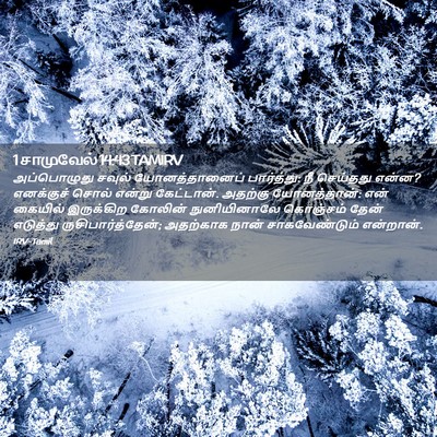 Picture 02 - 1 சாமுவேல் 14:43 TAMIRV - அப்பொழுது சவுல் - Bible Verse Picture