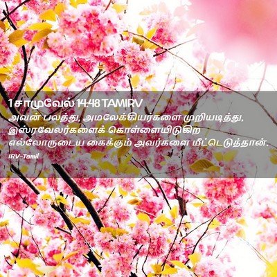 Picture 02 - 1 சாமுவேல் 14:48 TAMIRV - அவன் பலத்து, - Bible Verse Picture