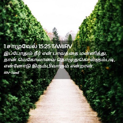 Picture 02 - 1 சாமுவேல் 15:25 TAMIRV - இப்போதும் நீர் - Bible Verse Picture