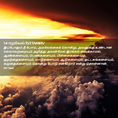 Picture 02 - 1 சாமுவேல் 15:3 TAMIRV - இப்போதும் நீ போய், - Bible Verse Picture