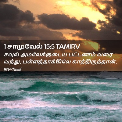 Picture 02 - 1 சாமுவேல் 15:5 TAMIRV - சவுல் அமலேக்குடைய - Bible Verse Picture
