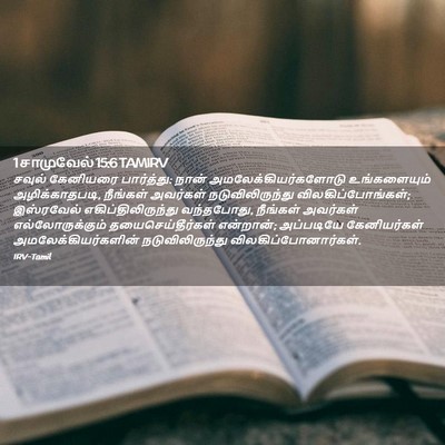Picture 02 - 1 சாமுவேல் 15:6 TAMIRV - சவுல் கேனியரை - Bible Verse Picture