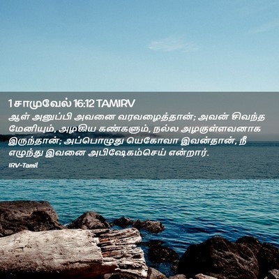 Picture 02 - 1 சாமுவேல் 16:12 TAMIRV - ஆள் அனுப்பி அவனை - Bible Verse Picture