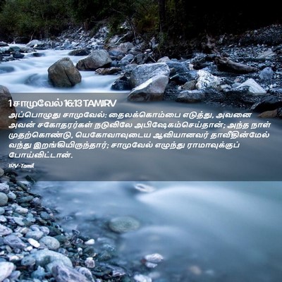 Picture 02 - 1 சாமுவேல் 16:13 TAMIRV - அப்பொழுது - Bible Verse Picture