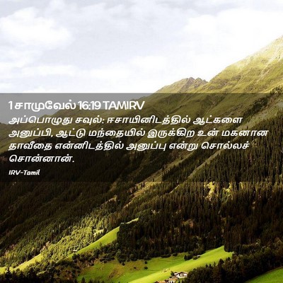Picture 02 - 1 சாமுவேல் 16:19 TAMIRV - அப்பொழுது சவுல்: - Bible Verse Picture