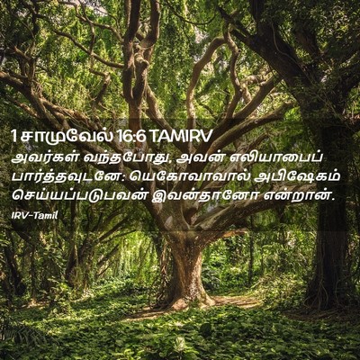 Picture 02 - 1 சாமுவேல் 16:6 TAMIRV - அவர்கள் வந்தபோது, - Bible Verse Picture