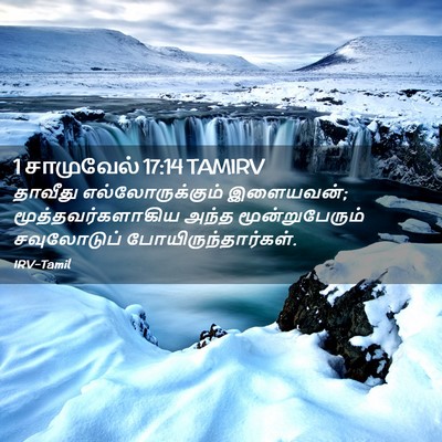 Picture 02 - 1 சாமுவேல் 17:14 TAMIRV - தாவீது - Bible Verse Picture