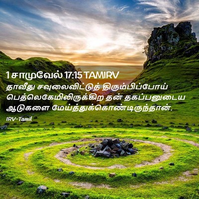 Picture 02 - 1 சாமுவேல் 17:15 TAMIRV - தாவீது - Bible Verse Picture