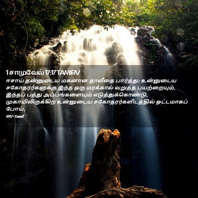 Picture 02 - 1 சாமுவேல் 17:17 TAMIRV - ஈசாய் தன்னுடைய - Bible Verse Picture