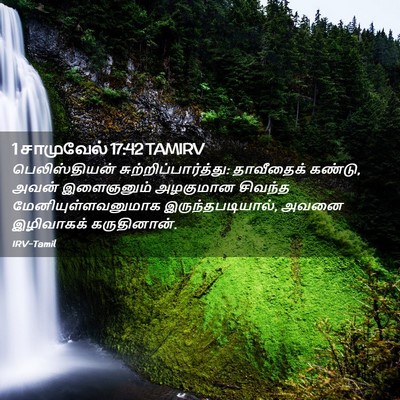 Picture 02 - 1 சாமுவேல் 17:42 TAMIRV - பெலிஸ்தியன் - Bible Verse Picture