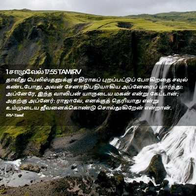 Picture 02 - 1 சாமுவேல் 17:55 TAMIRV - தாவீது - Bible Verse Picture