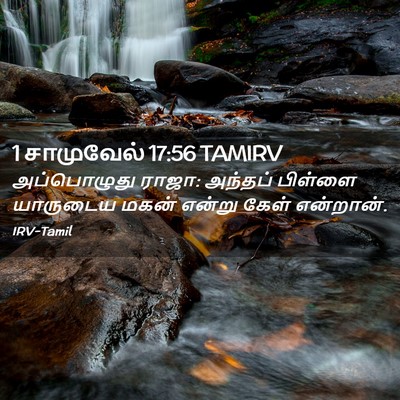 Picture 02 - 1 சாமுவேல் 17:56 TAMIRV - அப்பொழுது ராஜா: - Bible Verse Picture