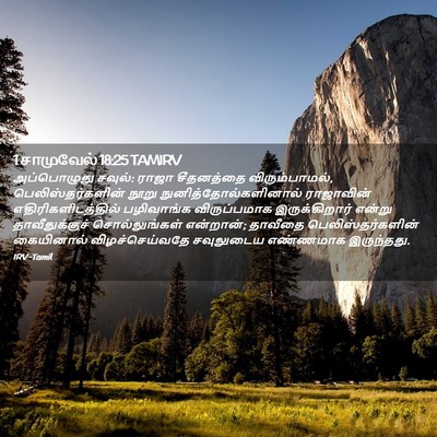 Picture 02 - 1 சாமுவேல் 18:25 TAMIRV - அப்பொழுது சவுல்: - Bible Verse Picture