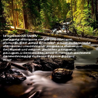 Picture 02 - 1 சாமுவேல் 2:25 TAMIRV - மனிதனுக்கு - Bible Verse Picture